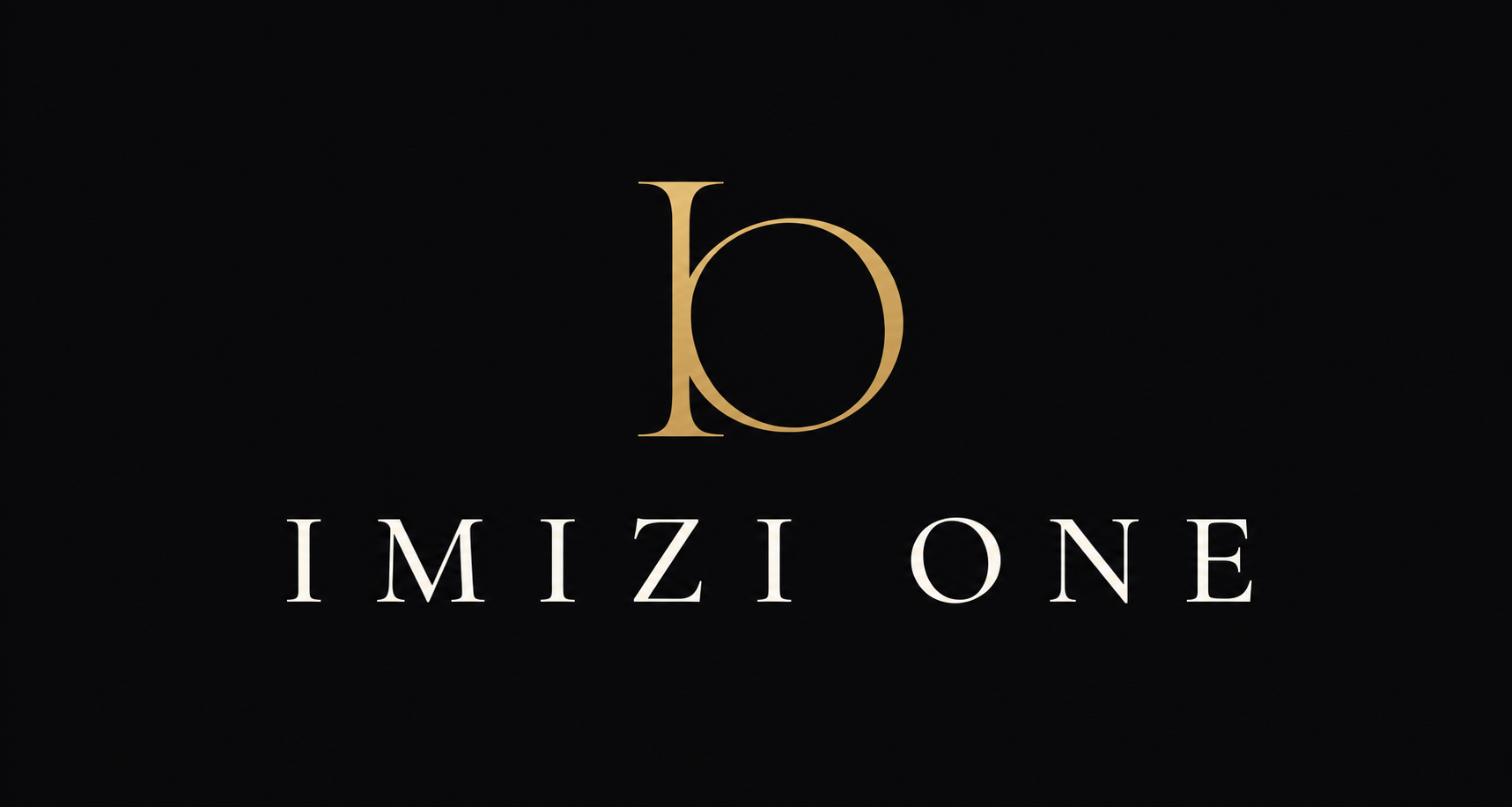 IMIZI ONE